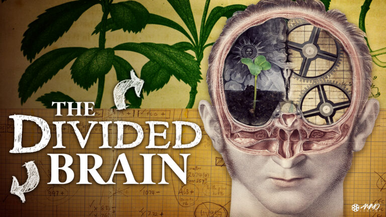 the divided brain horizontal poster